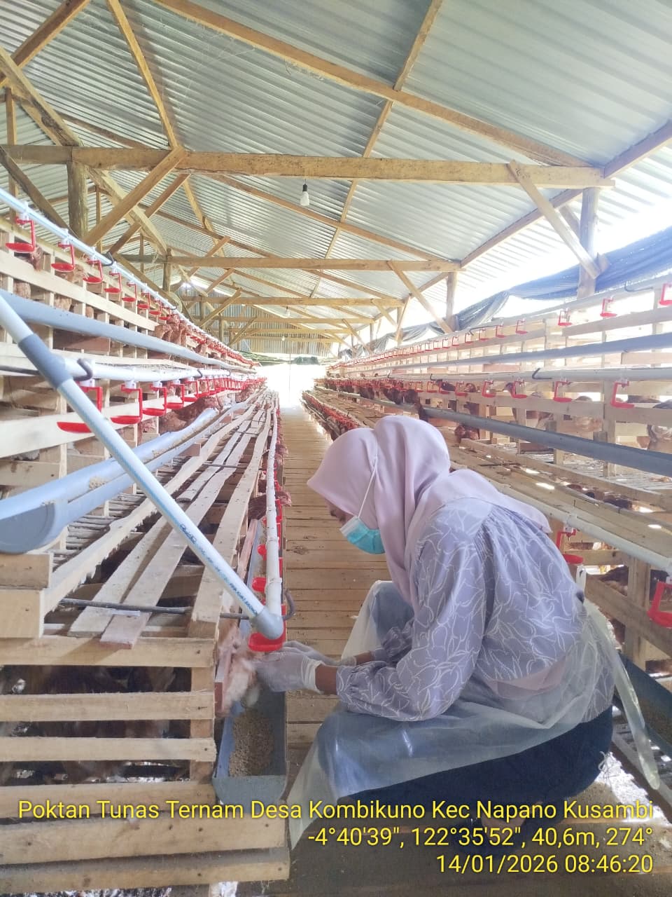 Sosialisasi Program Bantuan Ternak