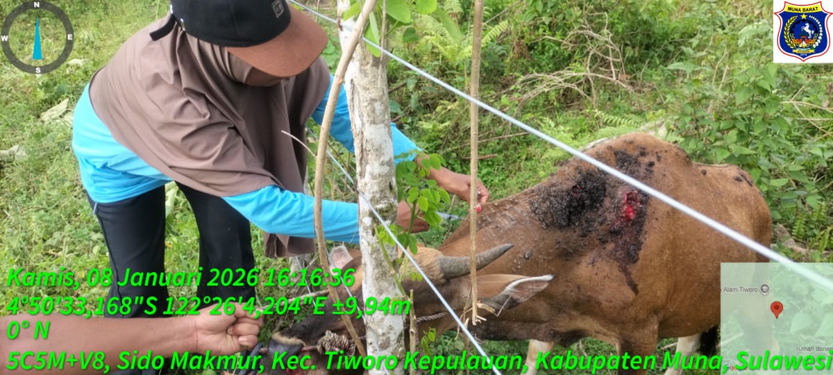 Pengobatan Penyakit Kulit dan Luka