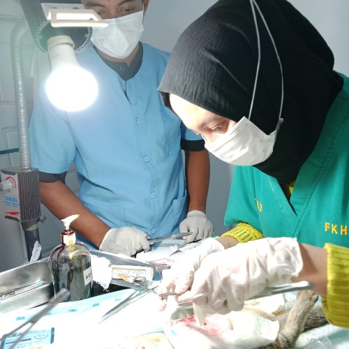 Drh. SRI FAUZIA